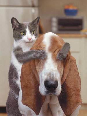C tout mimi...