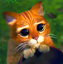 kil est mignon...