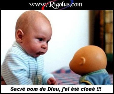 tripe cette image